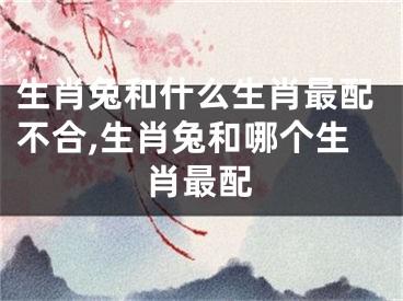 生肖兔和什么生肖最配不合,生肖兔和哪个生肖最配