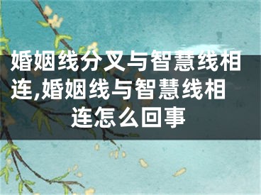 婚姻线分叉与智慧线相连,婚姻线与智慧线相连怎么回事