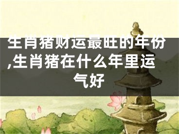 生肖猪财运最旺的年份,生肖猪在什么年里运气好