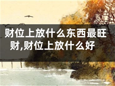 财位上放什么东西最旺财,财位上放什么好