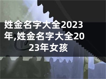 姓金名字大全2023年,姓金名字大全2023年女孩