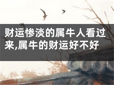 财运惨淡的属牛人看过来,属牛的财运好不好