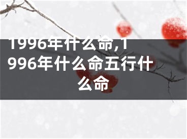 1996年什么命,1996年什么命五行什么命