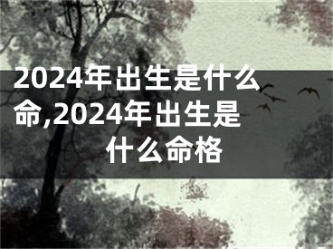 2024年出生是什么命,2024年出生是什么命格