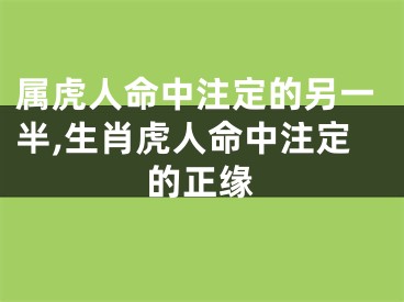 属虎人命中注定的另一半,生肖虎人命中注定的正缘