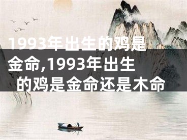 1993年出生的鸡是金命,1993年出生的鸡是金命还是木命