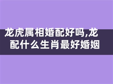 龙虎属相婚配好吗,龙配什么生肖最好婚姻