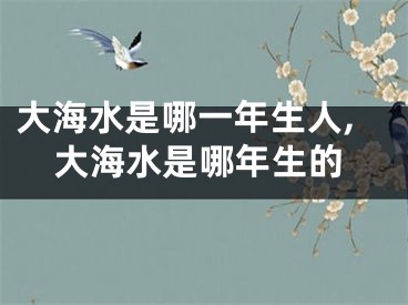 大海水是哪一年生人,大海水是哪年生的