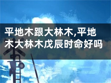 平地木跟大林木,平地木大林木戊辰时命好吗