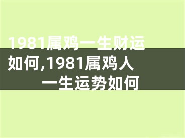 1981属鸡一生财运如何,1981属鸡人一生运势如何