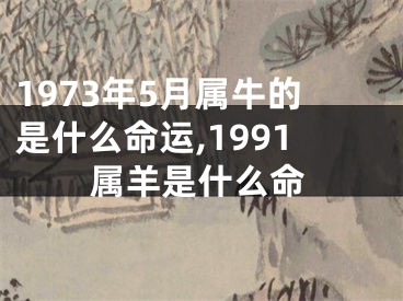 1973年5月属牛的是什么命运,1991属羊是什么命