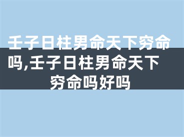 壬子日柱男命天下穷命吗,壬子日柱男命天下穷命吗好吗