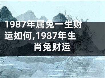 1987年属兔一生财运如何,1987年生肖兔财运