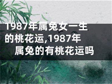 1987年属兔女一生的桃花运,1987年属兔的有桃花运吗