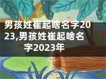 男孩姓崔起啥名字2023,男孩姓崔起啥名字2023年