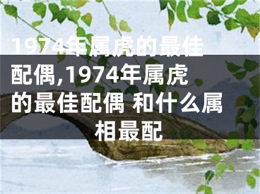 1974年属虎的最佳配偶,1974年属虎的最佳配偶 和什么属相最配