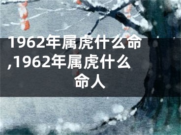 1962年属虎什么命,1962年属虎什么命人