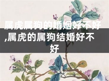 属虎属狗的婚姻好不好,属虎的属狗结婚好不好