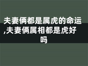 夫妻俩都是属虎的命运,夫妻俩属相都是虎好吗