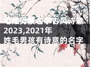 毛姓男孩名字古风诗意2023,2021年姓毛男孩有诗意的名字