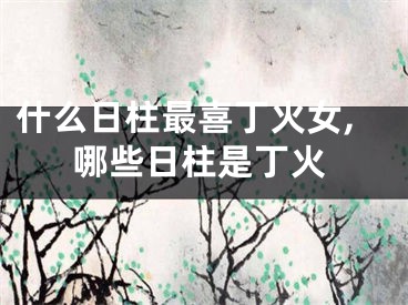 什么日柱最喜丁火女,哪些日柱是丁火