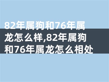 82年属狗和76年属龙怎么样,82年属狗和76年属龙怎么相处