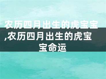 农历四月出生的虎宝宝,农历四月出生的虎宝宝命运