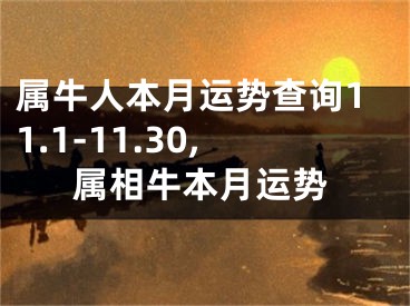 属牛人本月运势查询11.1-11.30,属相牛本月运势