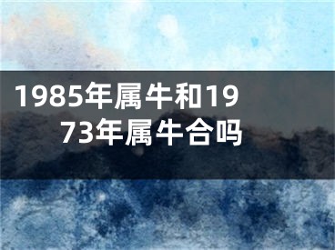 1985年属牛和1973年属牛合吗