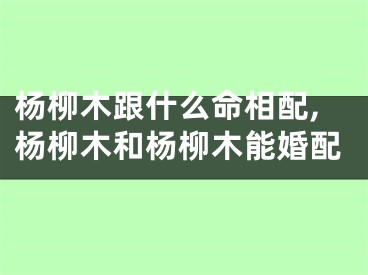 杨柳木跟什么命相配,杨柳木和杨柳木能婚配