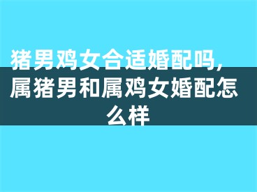 猪男鸡女合适婚配吗,属猪男和属鸡女婚配怎么样