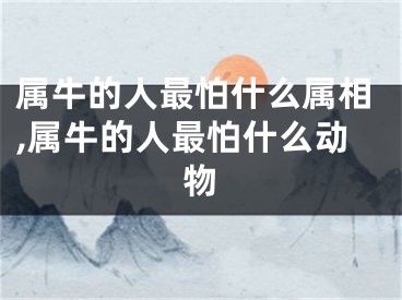 属牛的人最怕什么属相,属牛的人最怕什么动物