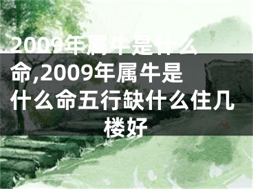 2009年属牛是什么命,2009年属牛是什么命五行缺什么住几楼好