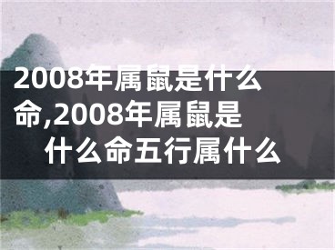 2008年属鼠是什么命,2008年属鼠是什么命五行属什么