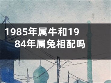 1985年属牛和1984年属兔相配吗