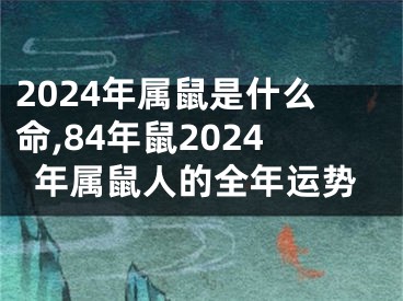 2024年属鼠是什么命,84年鼠2024年属鼠人的全年运势