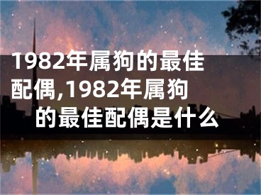 1982年属狗的最佳配偶,1982年属狗的最佳配偶是什么