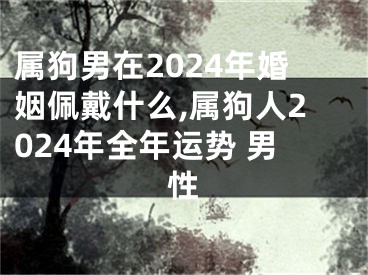 属狗男在2024年婚姻佩戴什么,属狗人2024年全年运势 男性