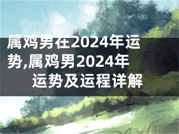 属鸡男在2024年运势,属鸡男2024年运势及运程详解