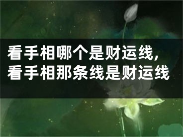 看手相哪个是财运线,看手相那条线是财运线