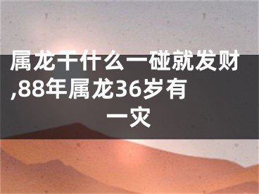 属龙干什么一碰就发财,88年属龙36岁有一灾