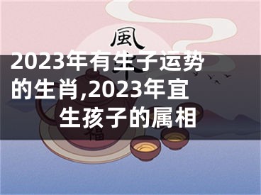 2023年有生子运势的生肖,2023年宜生孩子的属相