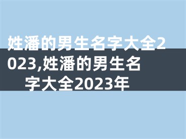 姓潘的男生名字大全2023,姓潘的男生名字大全2023年