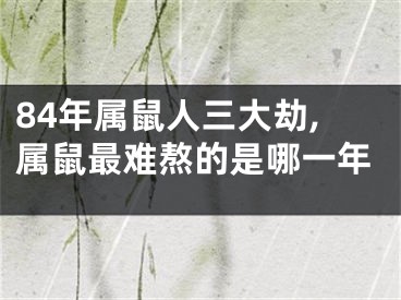 84年属鼠人三大劫,属鼠最难熬的是哪一年