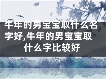 牛年的男宝宝取什么名字好,牛年的男宝宝取什么字比较好