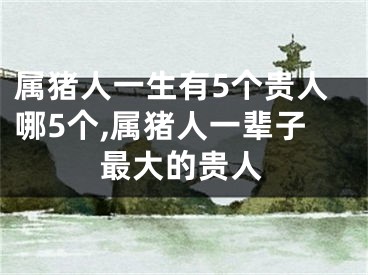 属猪人一生有5个贵人哪5个,属猪人一辈子最大的贵人