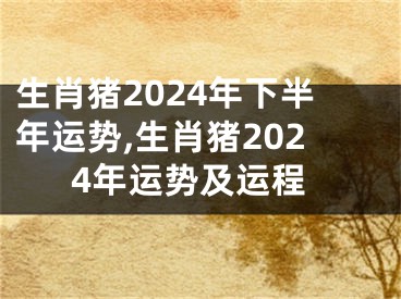 生肖猪2024年下半年运势,生肖猪2024年运势及运程