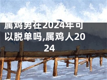 属鸡男在2024年可以脱单吗,属鸡人2024