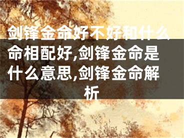 剑锋金命好不好和什么命相配好,剑锋金命是什么意思,剑锋金命解析