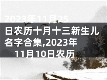 2023年11月25日农历十月十三新生儿名字合集,2023年11月10日农历